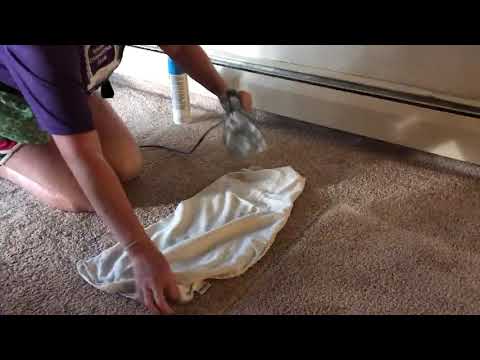 How to get dents out of your carpet!